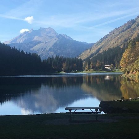 Apartment In Northern Alps With Skiing Nearby Ле-Гет Экстерьер фото